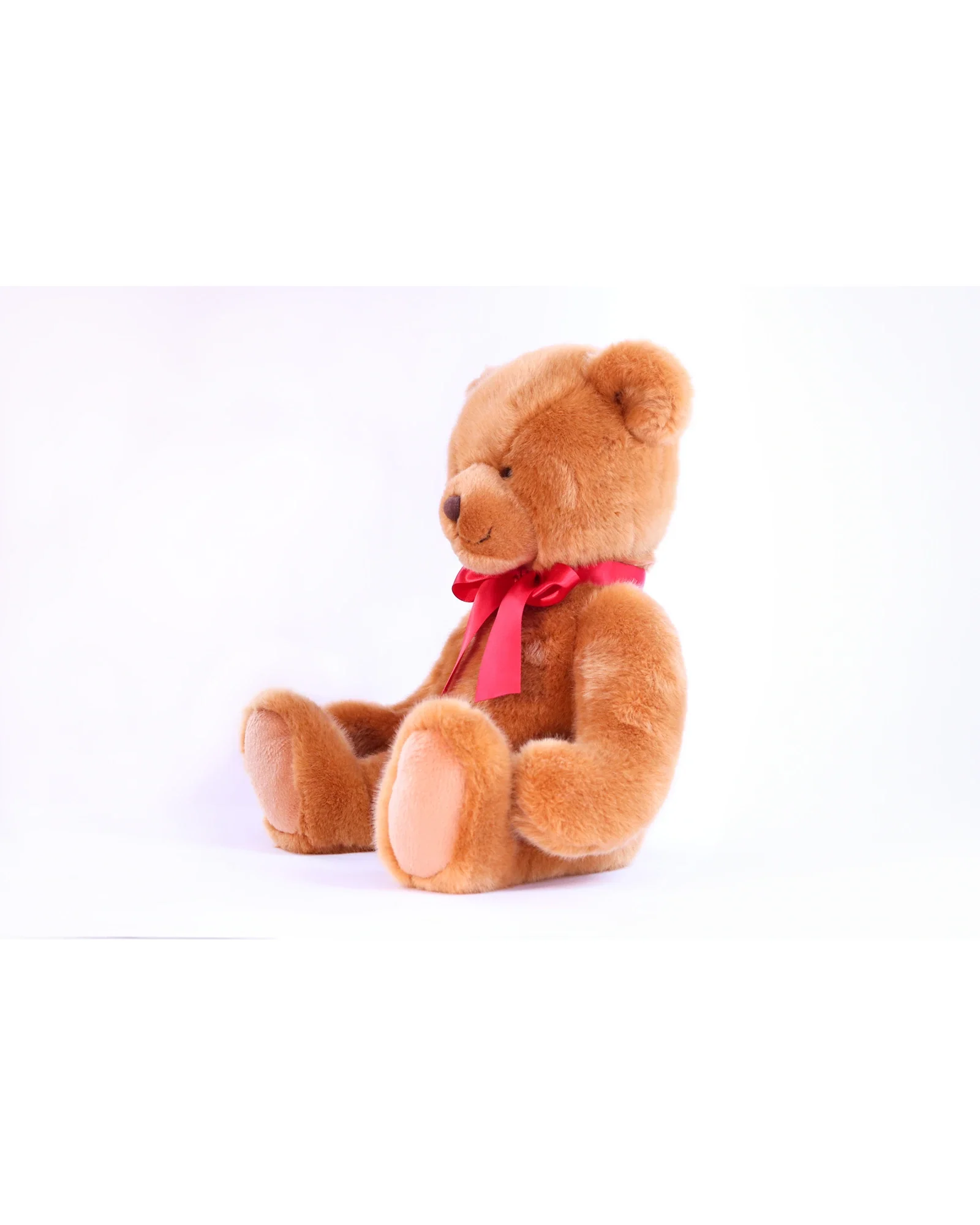 Bingo Bear 12 Inch - Image 3