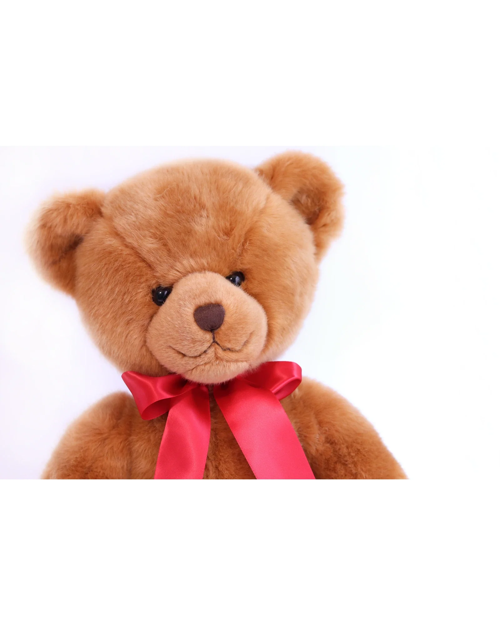 Bingo Bear 12 Inch - Image 4