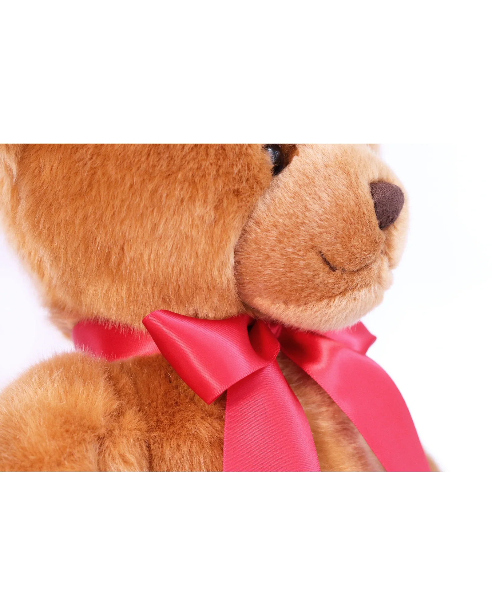 Bingo Bear 12 Inch - Image 5