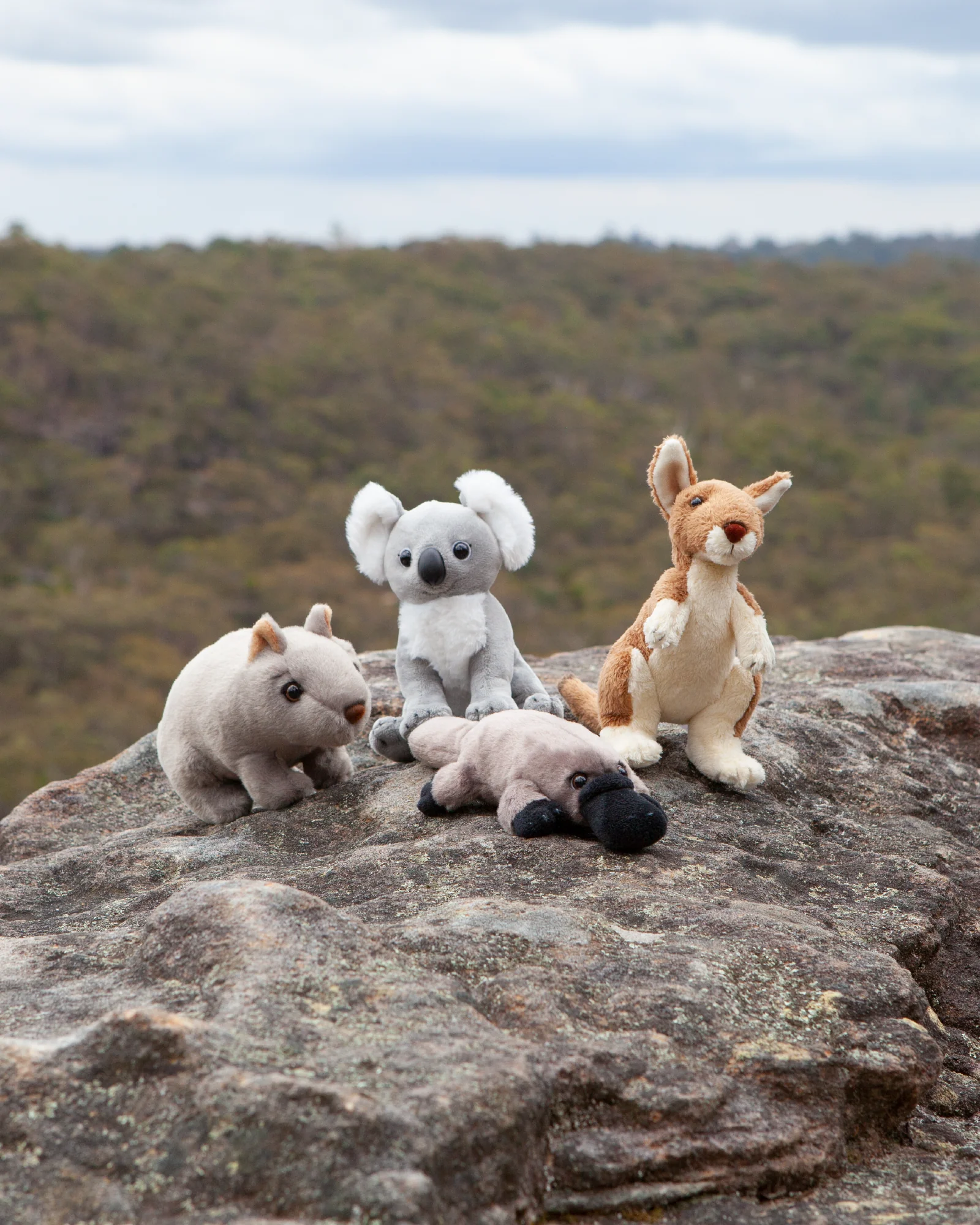 Kal the Kangaroo - Image 3