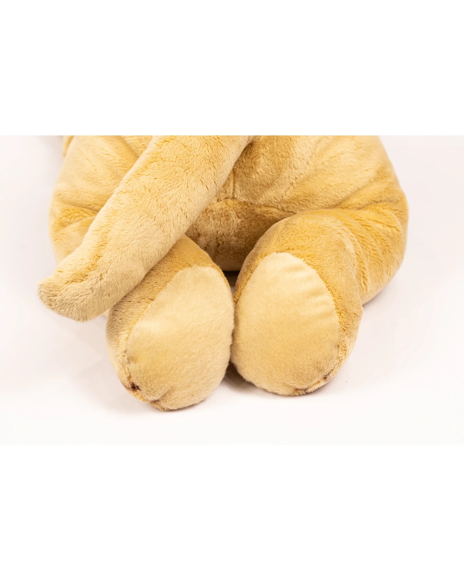 Myles The Labrador - Image 4