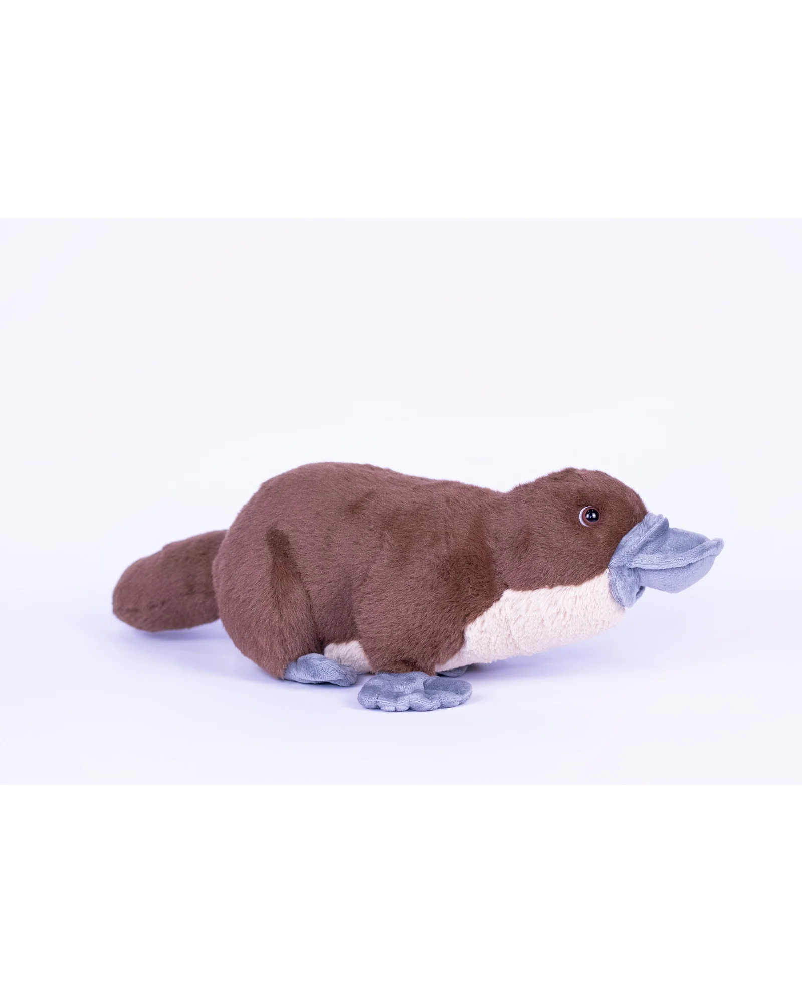 Poppy Platypus - Image 3