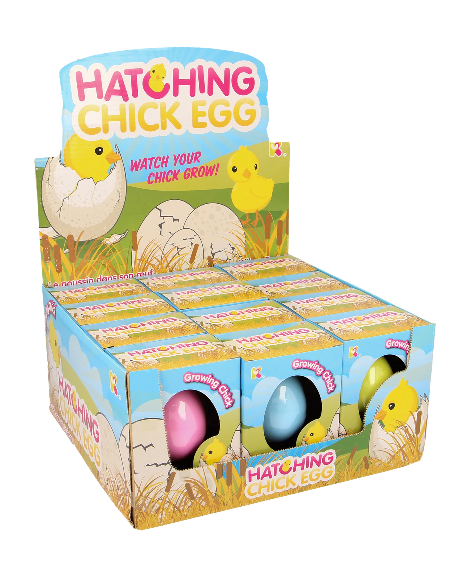 Small Chick Hatching Eggs - Image 3