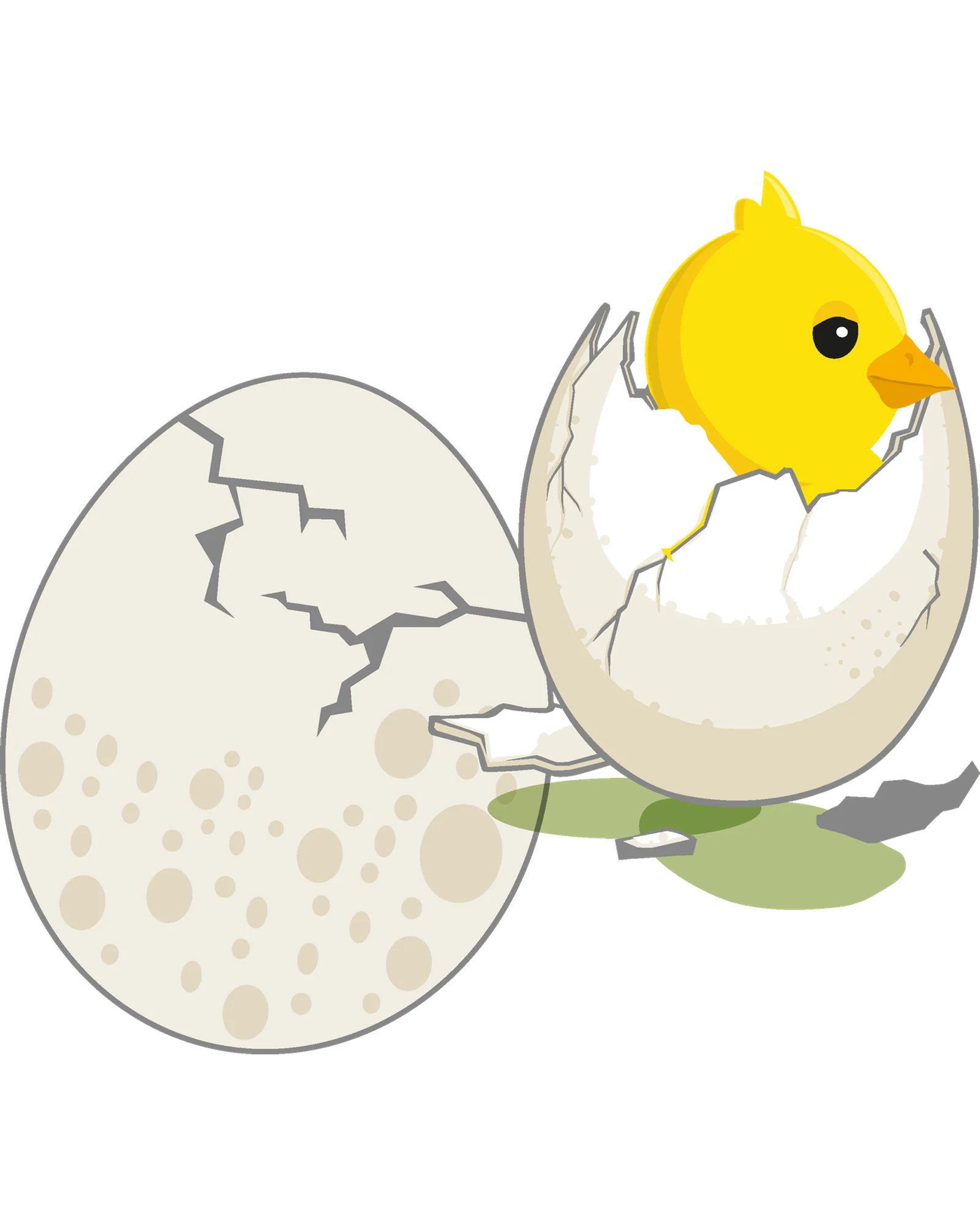Small Chick Hatching Eggs - Image 4