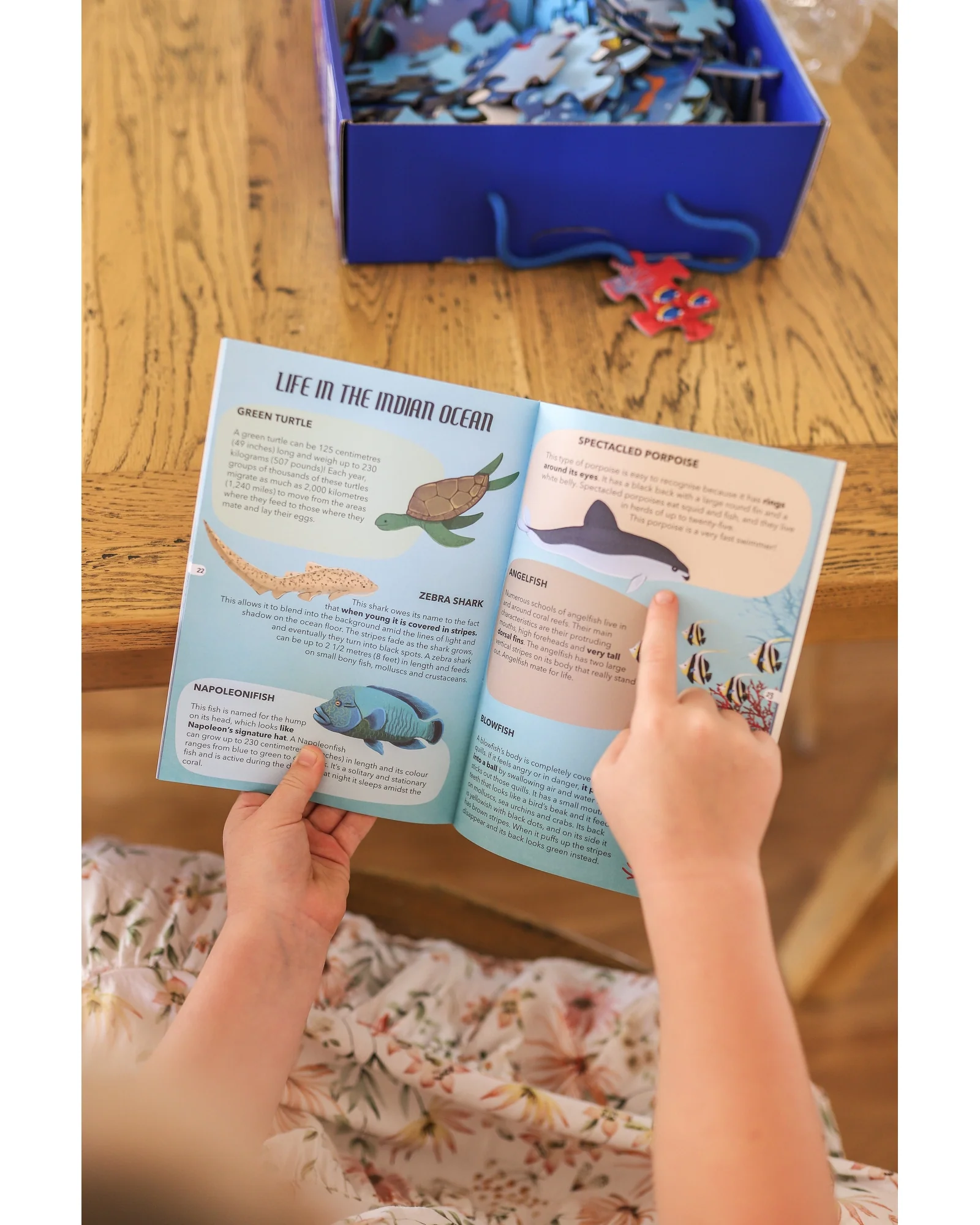 Sassi Travel Learn Explore The Sea - Image 10