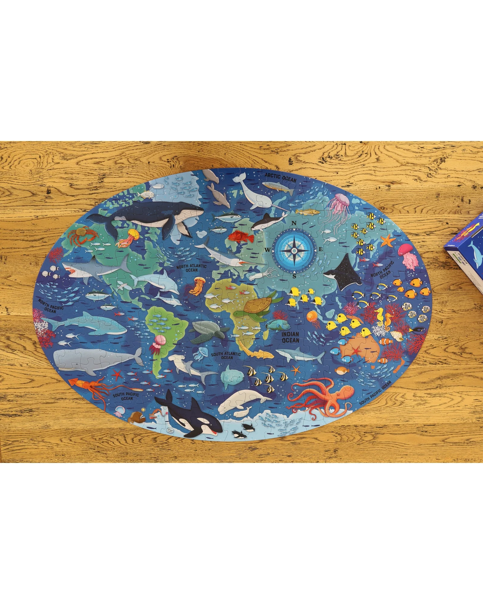 Sassi Travel Learn Explore The Sea - Image 5