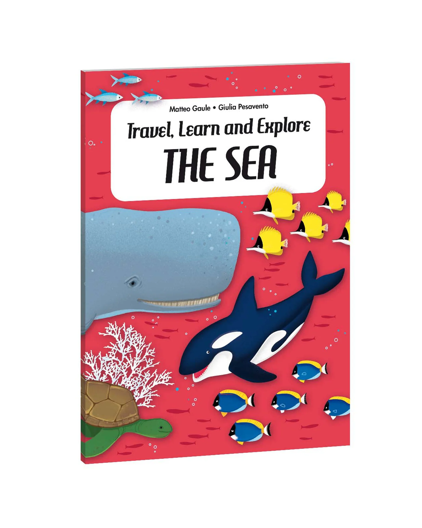 Sassi Travel Learn Explore The Sea - Image 6