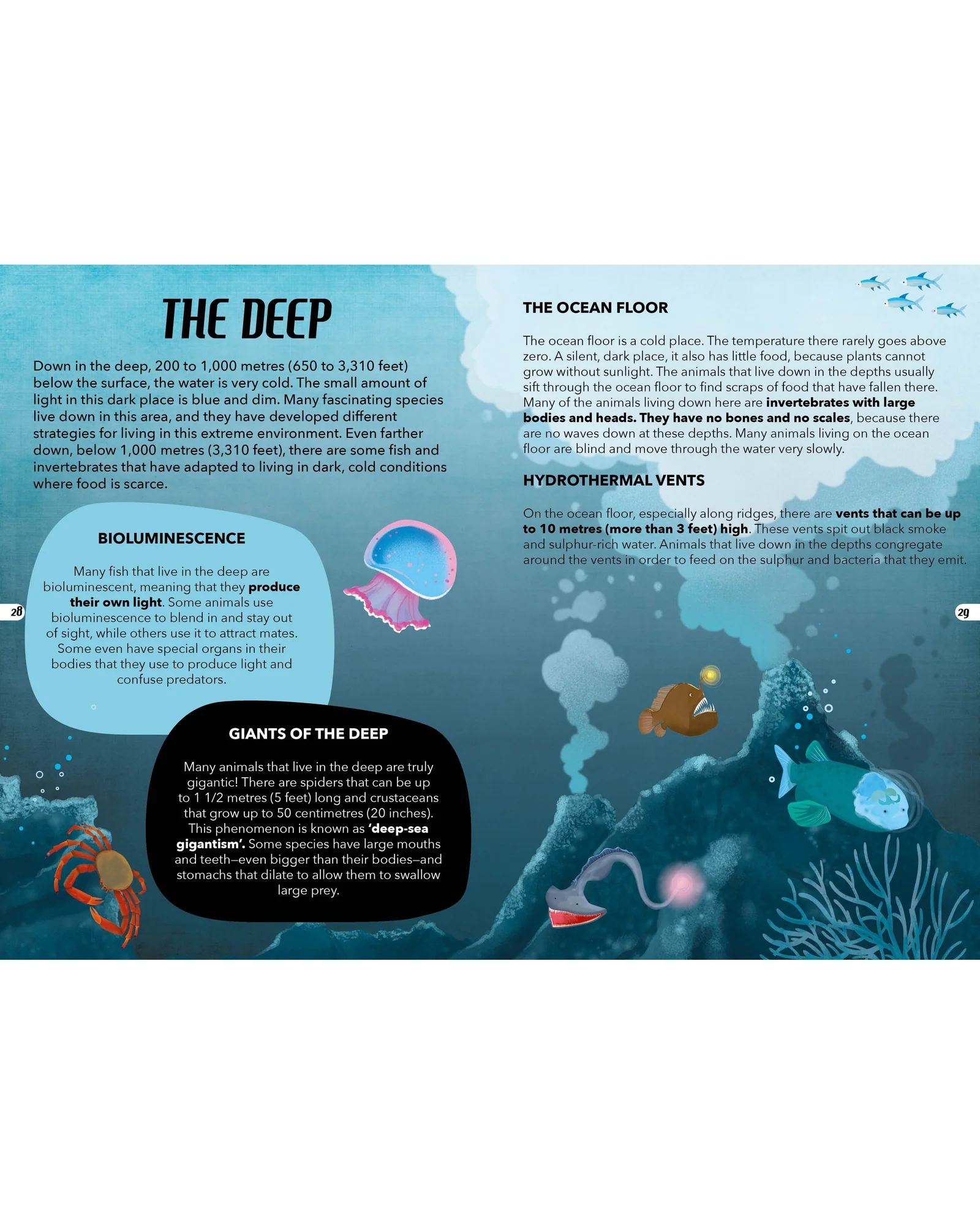 Sassi Travel Learn Explore The Sea - Image 7