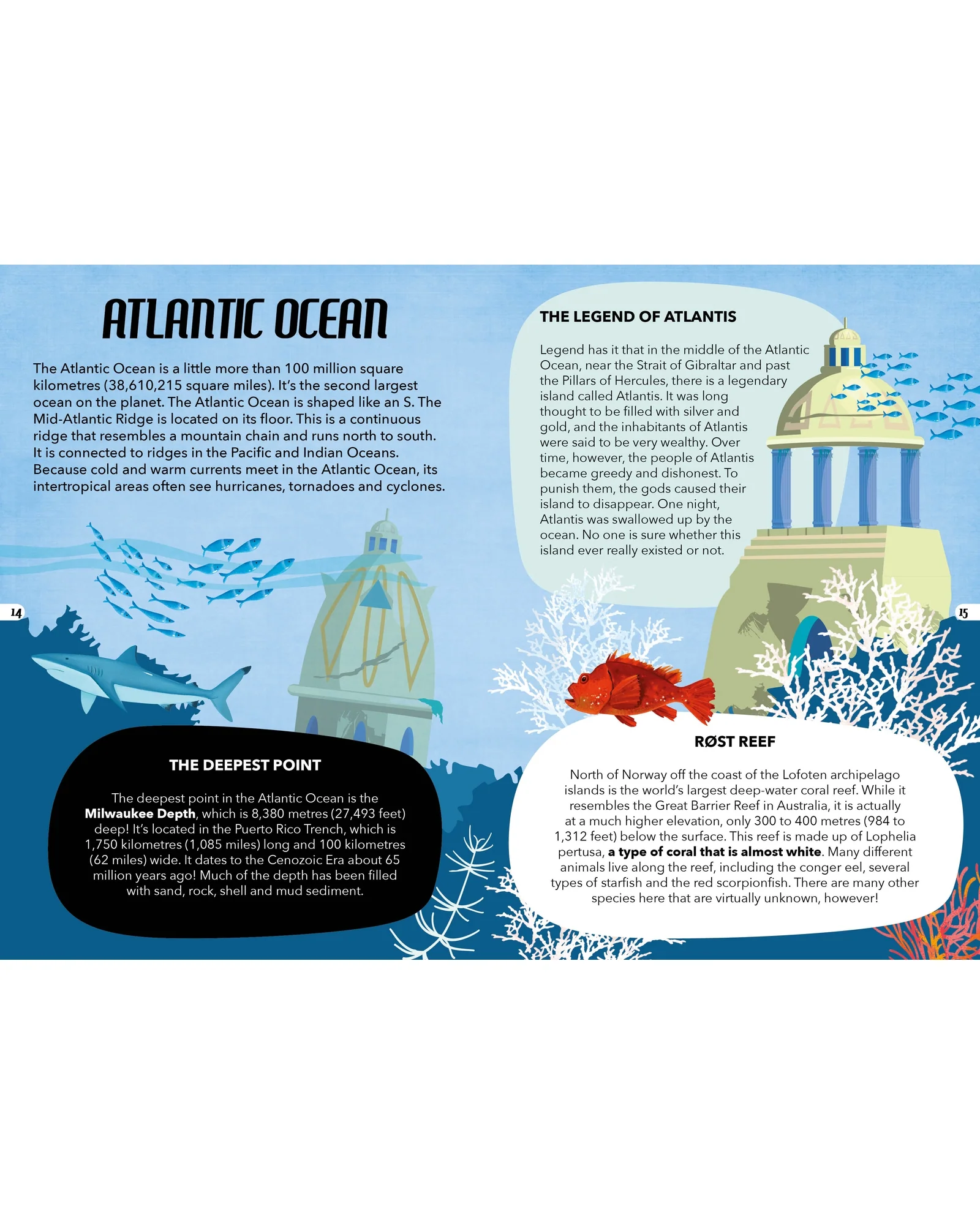 Sassi Travel Learn Explore The Sea - Image 9